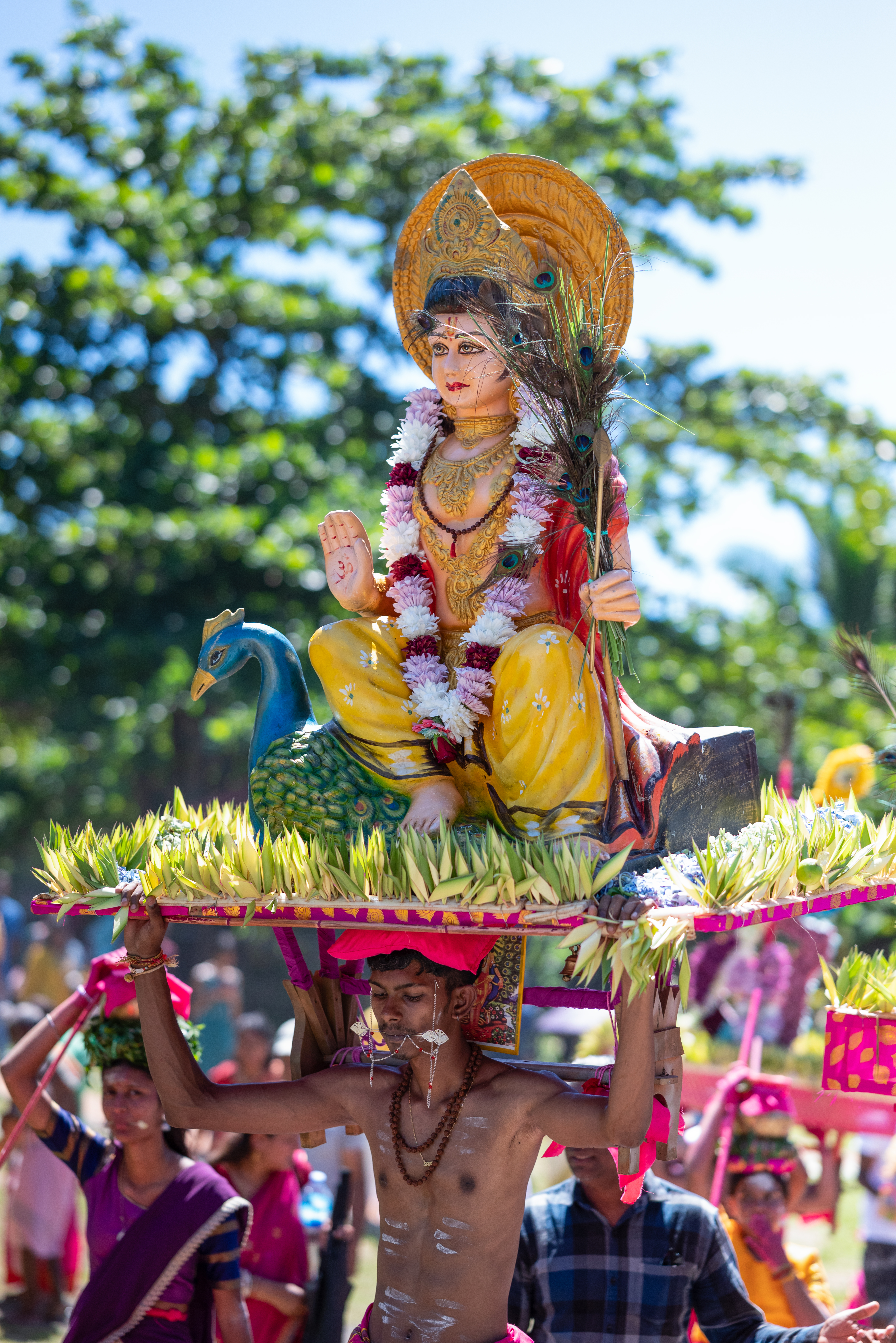 Cavadee - Portfolio image 2