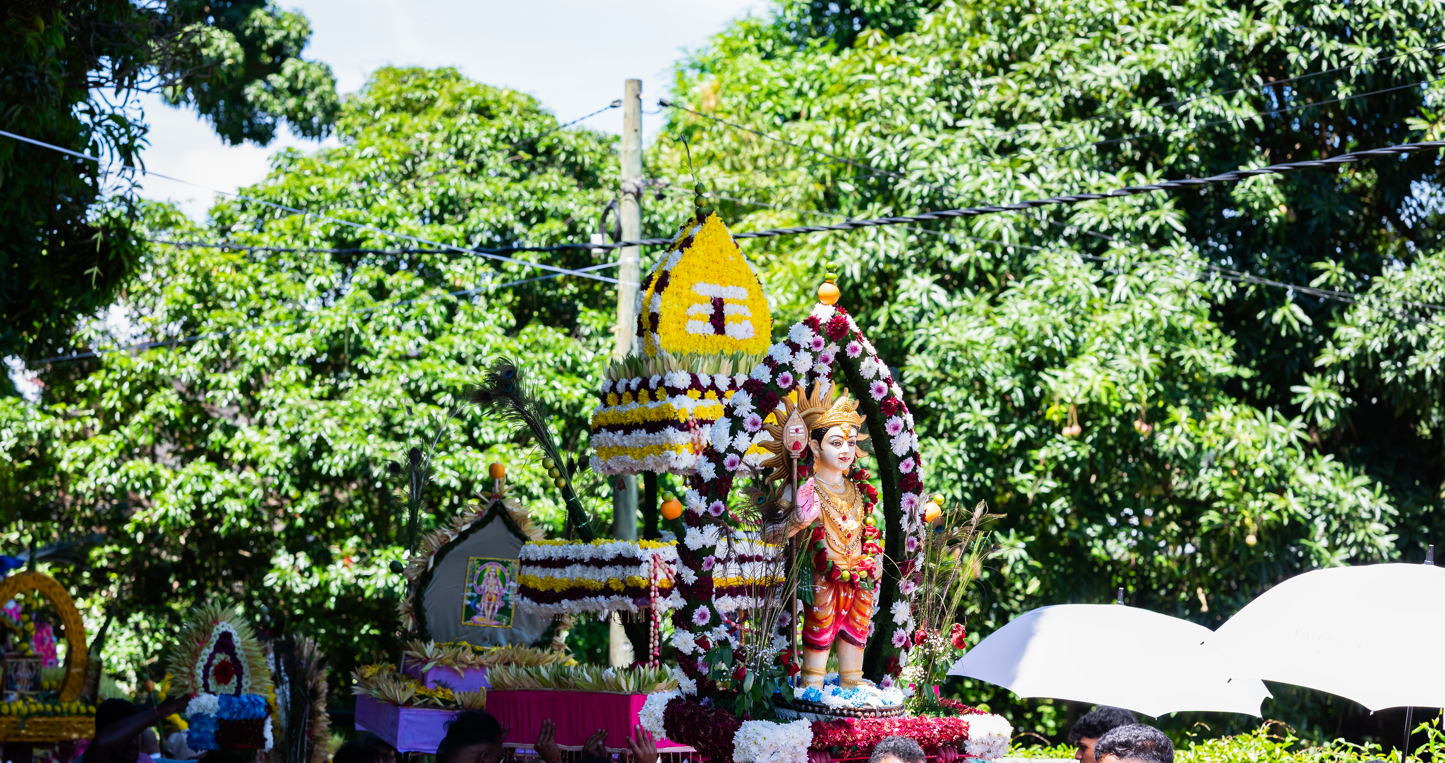 Cavadee - Portfolio image 7