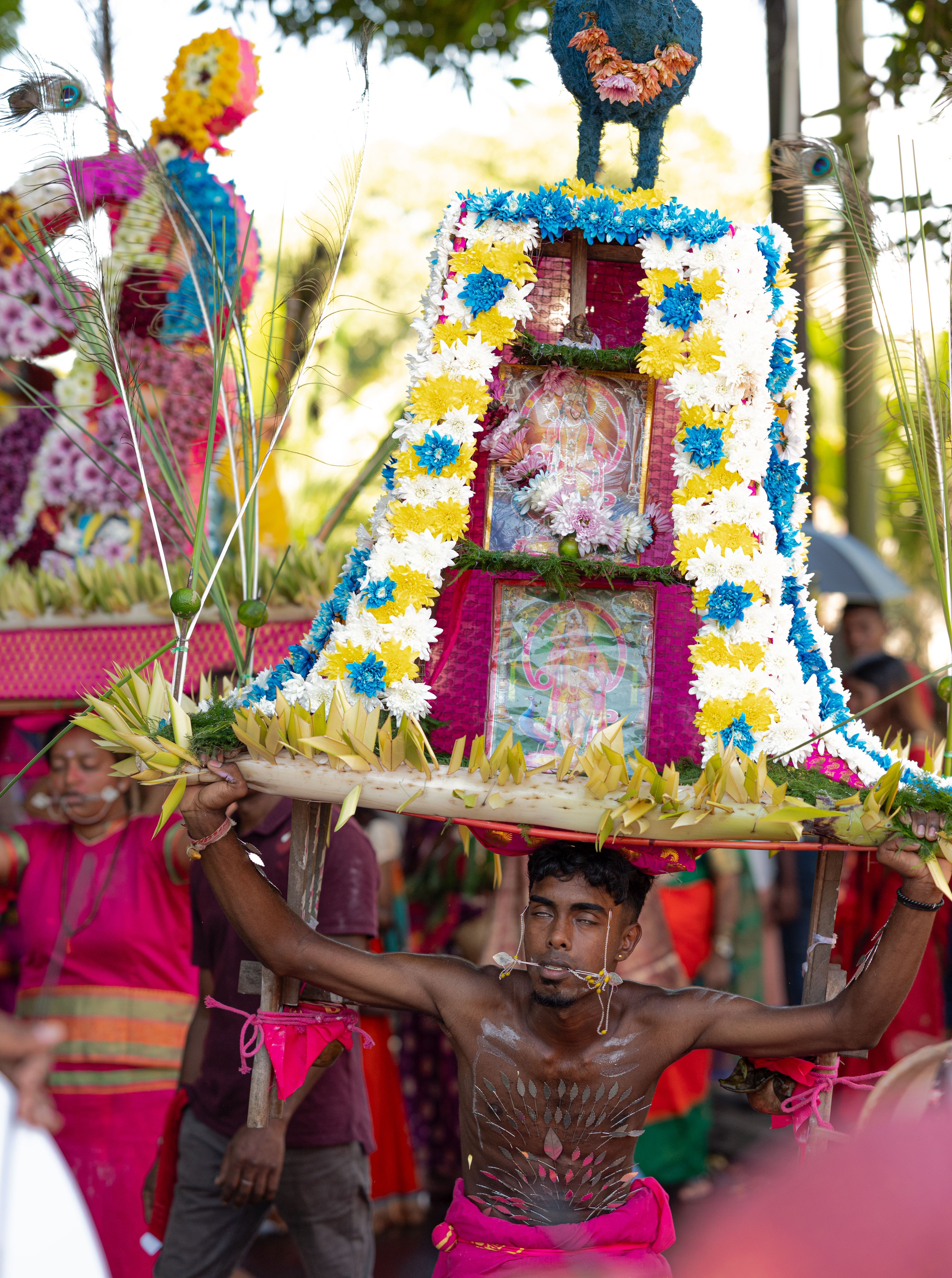 Cavadee - Portfolio image 4