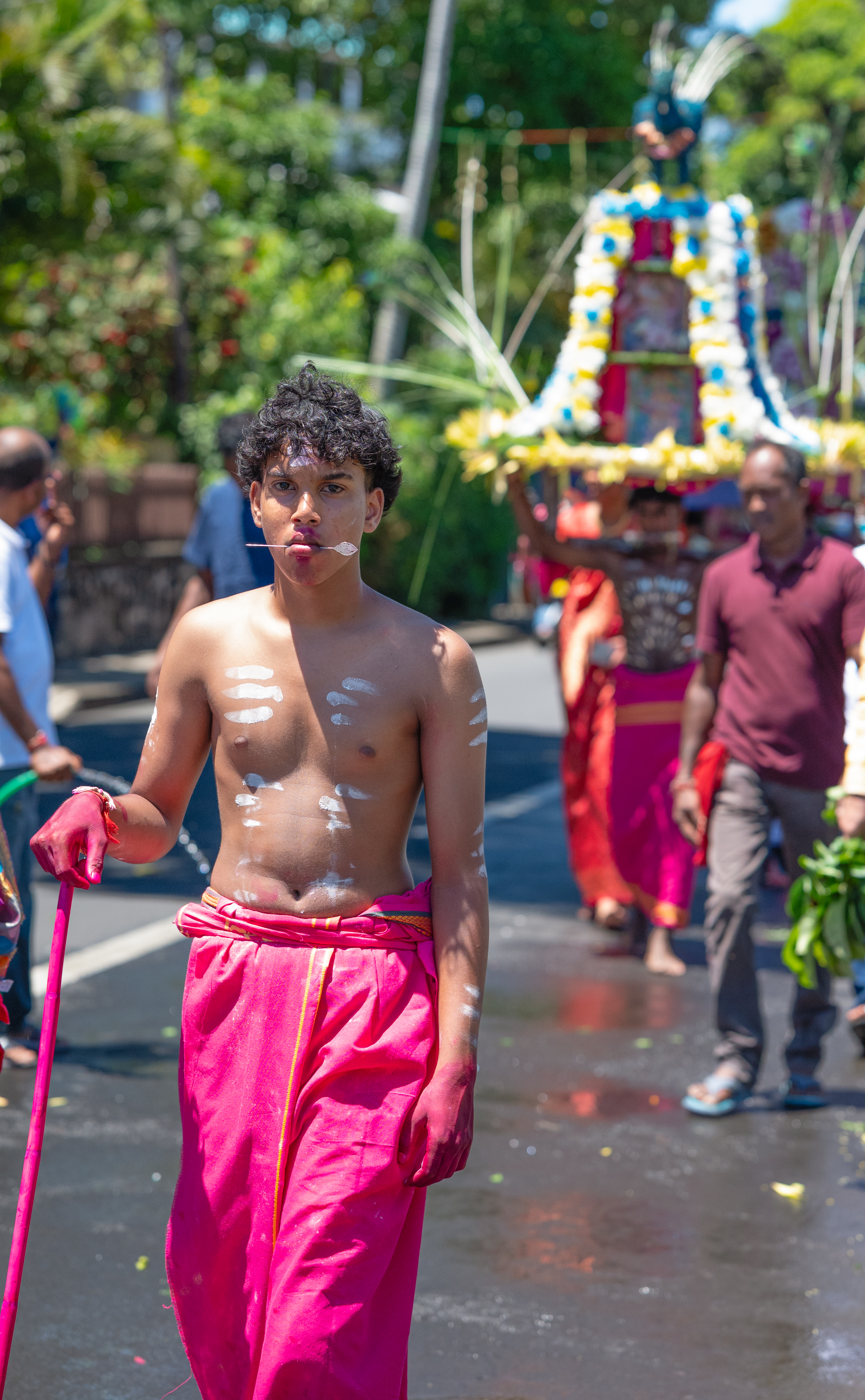 Cavadee - Portfolio image 5